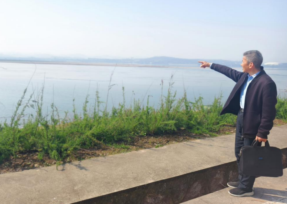 一片丹心护岸青
