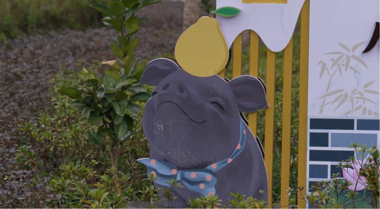 长江畔的亿元村：生态“黑白配” 产出“亿元值”