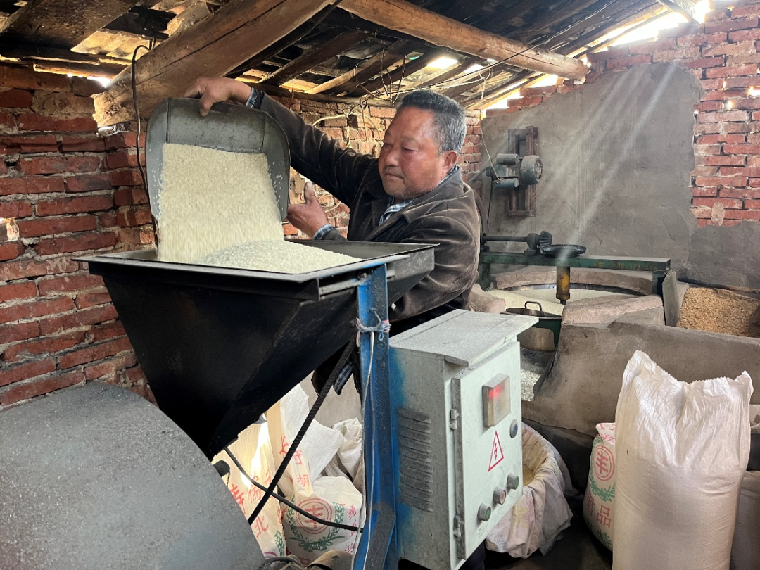 天门明庙村：一粒炒米“炒”出千万财富